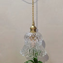 Transparent glass pendant for modern and elegant lighting