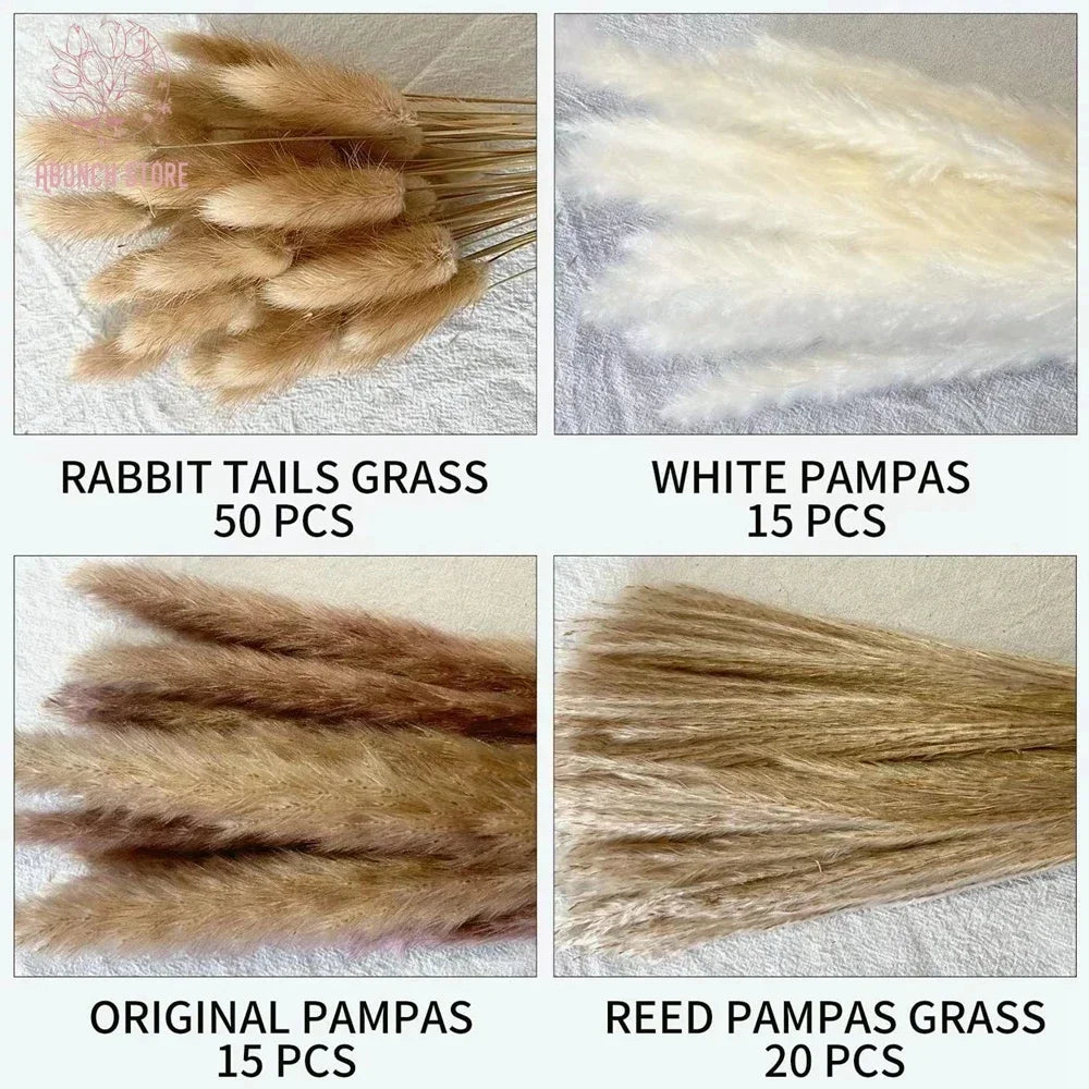 Set of 100 pampas grass bouquets for boho wedding decoration - vue 6 sur 13