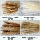 Set of 100 pampas grass bouquets for boho wedding decoration