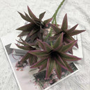 Tropical potted plant with decorative palm and bamboo