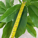 Artificial tropical plants for indoor and outdoor decoration