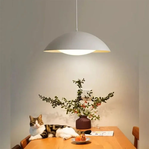 Modern minimalist iron pendant light for interiors - vue 3 sur 10