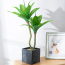 Tropical artificial succulent plants for indoor and outdoor decoration