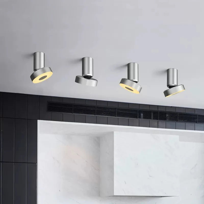 Modern LED ceiling light for multiple rooms spotlights