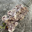 Artificial phalaenopsis decorative orchid for weddings and gardens