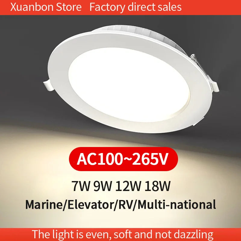 Integrated universal voltage LED ceiling light for multiple countries