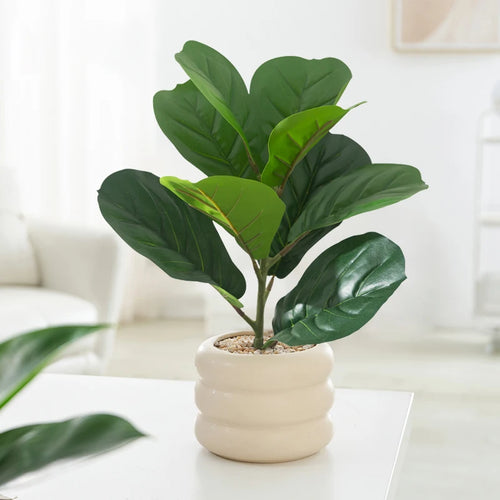 Artificial ficus plant with banyan leaves for garden or office decoration - vue 5 sur 6
