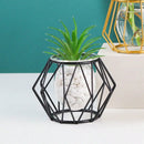 transparent flower arrangement for interior decoration with water plants