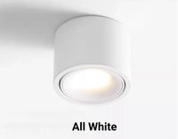 Dimmable round surface mounted LED ceiling light