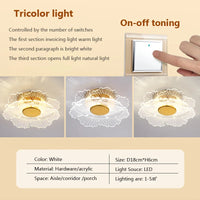 Modern acrylic LED ceiling light for decorative interiors