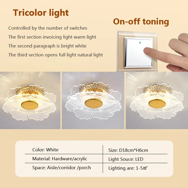 Modern acrylic LED ceiling light for decorative interiors