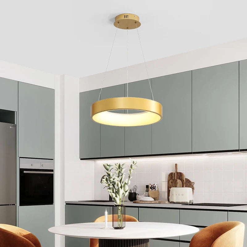 Modern designer pendant light for elegant indoor lighting
