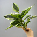 Artificial plant decorative foliage for weddings and events
