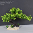 Artificial bonsai plant in plastic for interior decoration