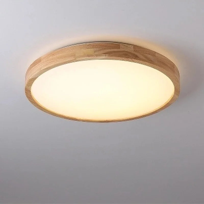 Modern LED ceiling light with remote control for versatile interiors