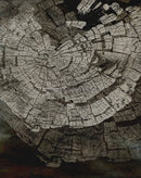 Abstract tree ring posters nordic wall decoration