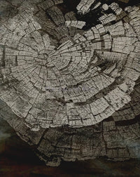 Abstract tree ring posters nordic wall decoration