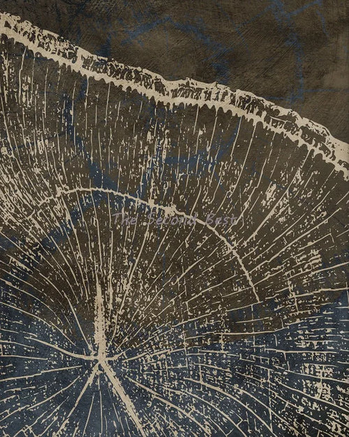 affiches abstraites sur anneaux d'arbres pour décoration intérieure
