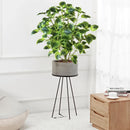 Artificial eucalyptus tropical plant for indoor decoration