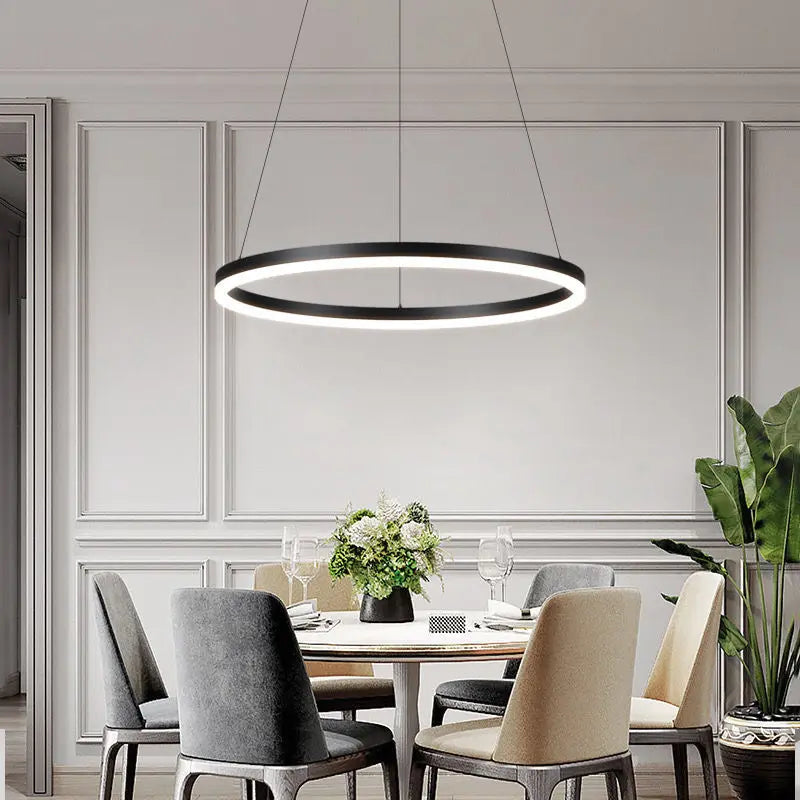 Minimalist Nordic round ring LED pendant lamps - vue 5 sur 9