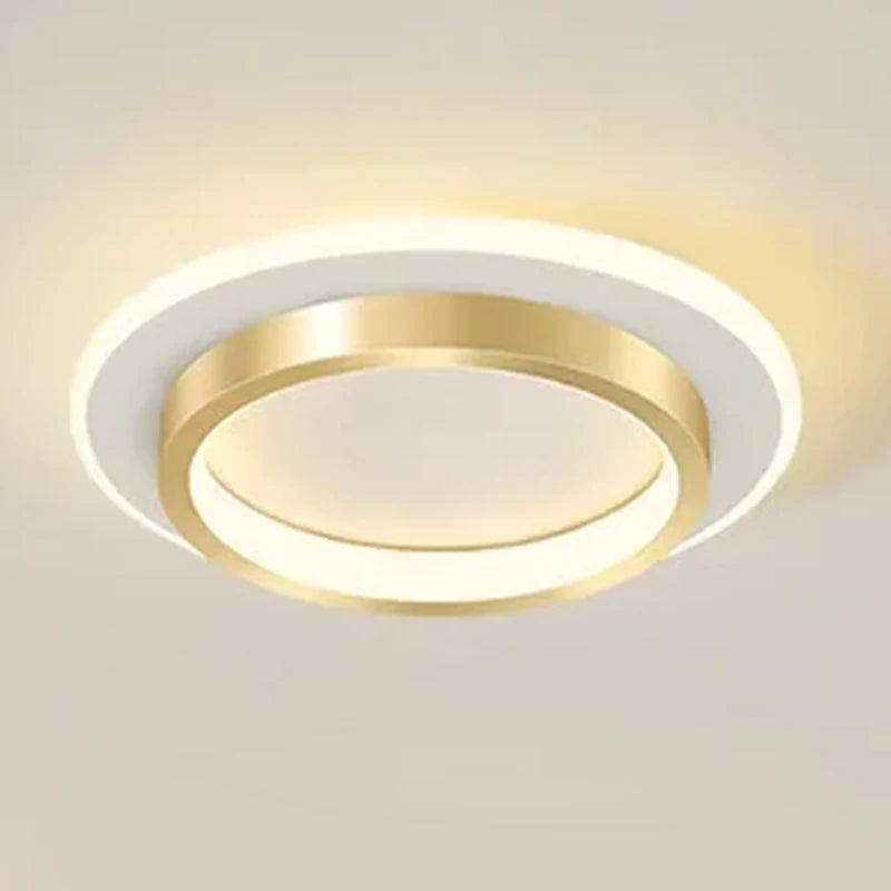 Modern LED ceiling light decorative indoor fixture