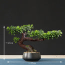 Artificial bonsai tree for indoor decoration and landscaping