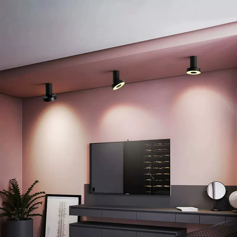 Modern LED ceiling light for multiple rooms spotlights
