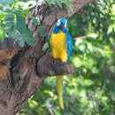 Parrot wall light
