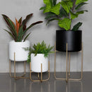 removable and freestanding gold flower stand for elegant plants