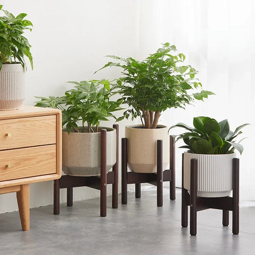 strong and durable wooden plant and bonsai stand - vue 5 sur 14