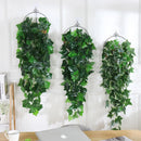 Decorative hanging plants for garden and weddings