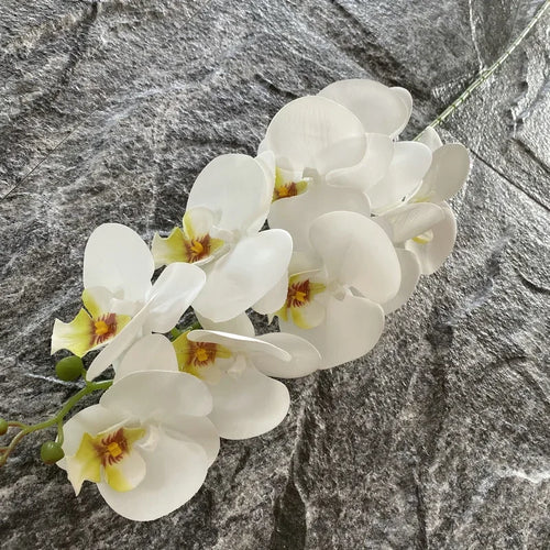 Artificial phalaenopsis decorative orchid for weddings and gardens - vue 11 sur 23