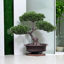 Artificial potted tree for elegant interior decoration