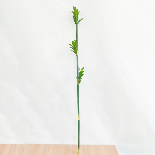 Artificial bamboo plants for indoor and outdoor decoration - vue 8 sur 13