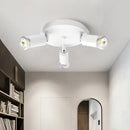 Adjustable three-head rotatable flush mount ceiling light for modern lighting