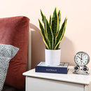 Realistic tropical artificial plants for indoor and outdoor decoration