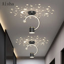 Modern creative ceiling light for indoor and outdoor use