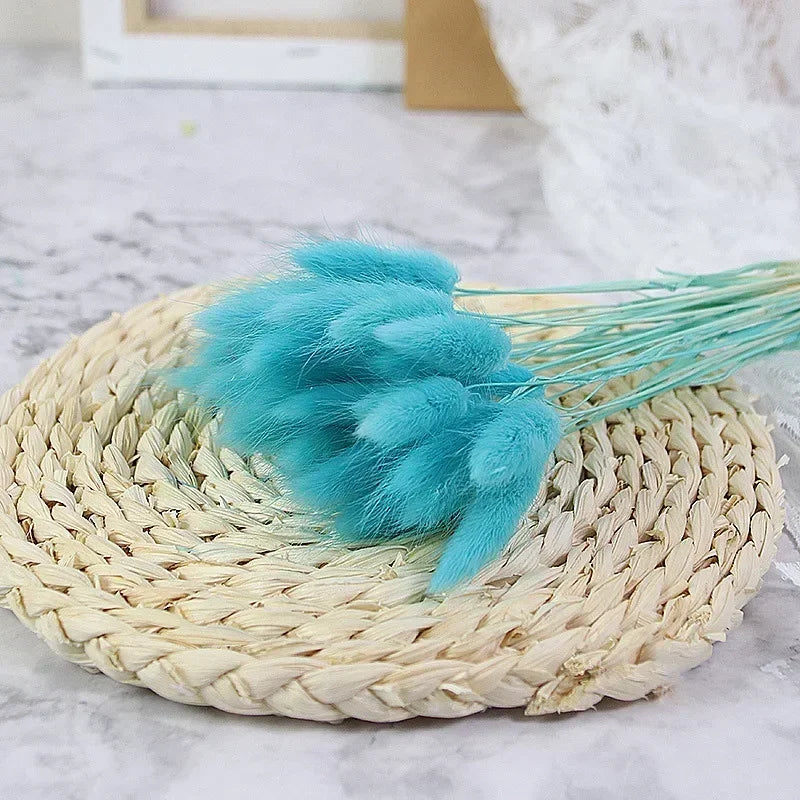 Dried bunny tail grass bouquet for festive decorations - vue 19 sur 23