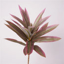 Tropical potted plant with decorative palm and bamboo