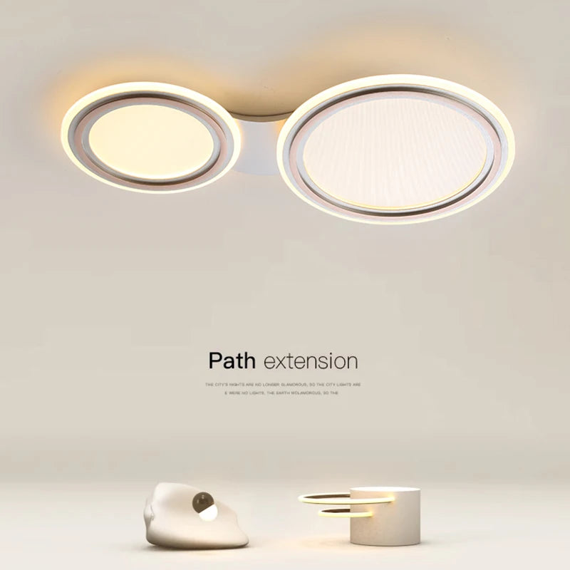 Modern metal ceiling light for a creative and stylish interior