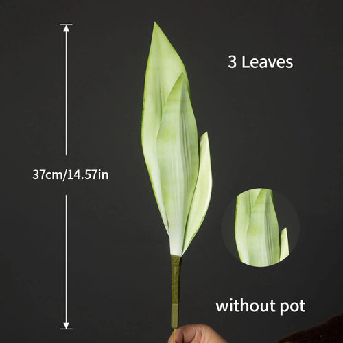 Artificial succulent plants in plastic for indoor decoration - vue 13 sur 12