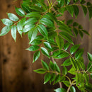 Large artificial plants for indoor and outdoor decoration