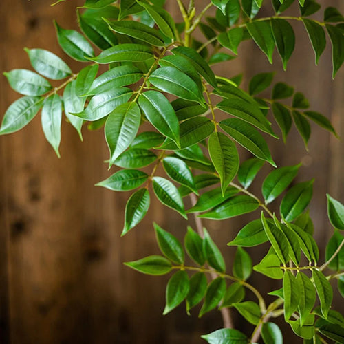 Large artificial plants for indoor and outdoor decoration - vue 4 sur 6