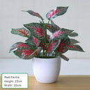 Artificial bonsai plant for indoor decoration