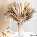 Set of 100 pampas grass bouquets for boho wedding decoration