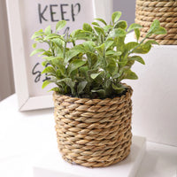 artificial plants decorative eucalyptus flowers in pot 17 cm