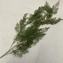 Artificial rattan fern for indoor and outdoor decoration