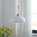 Glass pendant light for indoor bar, café, restaurant and dining room