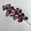 Set of 2 artificial vanda orchids for indoor decoration