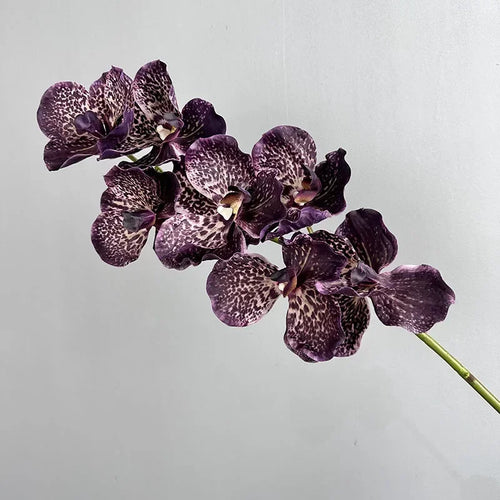 Set of 2 artificial vanda orchids for indoor decoration - vue 13 sur 12